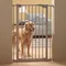 Savic Absperrgitter Dog Barrier Höhe 107 cm, Breite 75 bis 84 cm