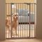 Traliehek Dog Barrier 2 H: 107 cm, 7 cm verlengstuk