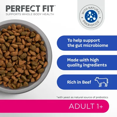 PERFECT FIT supports whole body health, with natural prebiotics. Tekst: To help support the gut microbiome, Made with high quality ingredients, Rich in Beef, ADULT 1+.