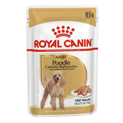Royal Canin Barboncino (Poodle) Adult umido per cane 12 x 85 g