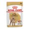 Royal Canin Barboncino (Poodle) Adult umido per cane 12 x 85 g