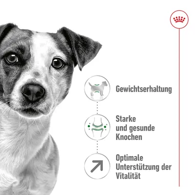 Ohranjanje telesne teže, močne in zdrave kosti, optimalna podpora vitalnosti. Prednosti izdelka prikazane s simboli.