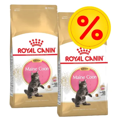 Dubbelpack Royal Canin Maine Coon Kitten