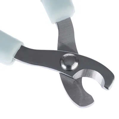 Coupe-griffes en métal avec poignées recouvertes de plastique clair, lame incurvée visible en gros plan.