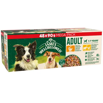 Box showing 48 x 90g mega-pack, labelled adult 1-7 years, complete and balanced, with icons for turkey, lamb, healthy digestion, immune system, skin and coat support.
