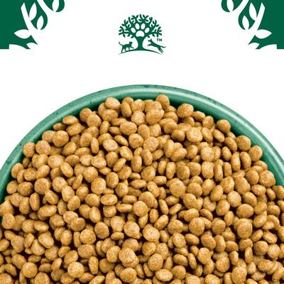 Bowl filled with dry pet food kibble, shown close up to display shape and texture. Brand tree symbol visible above the bowl.