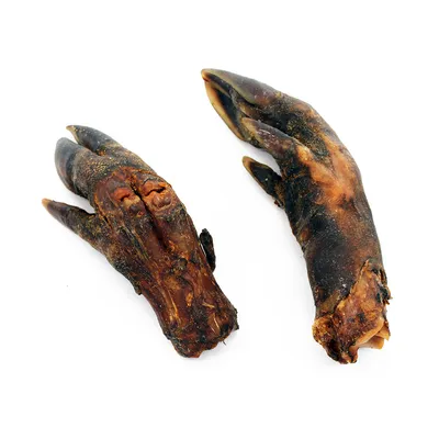 Due piedi di manzo essiccati come snack da masticare naturale per cani, marrone scuro con zoccoli visibili.