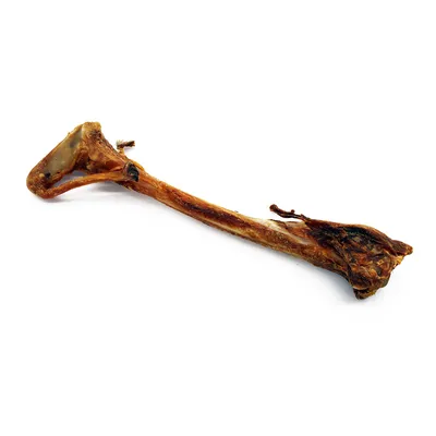Osso essiccato, allungato e marrone, adatto come snack da masticare. Nessuna altra informazione visibile.