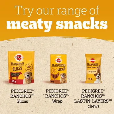 Try our range of meaty snacks. PEDIGREE RANCHOS Slices, PEDIGREE RANCHOS Wrap, PEDIGREE RANCHOS LASTIN' LAYERS chews with chicken shown in packaging. Try our range of meaty snacks. PEDIGREE RANCHOS Slices, PEDIGREE RANCHOS Wrap, PEDIGREE RANCHOS LASTIN' LAYERS chews with chicken shown in packaging.