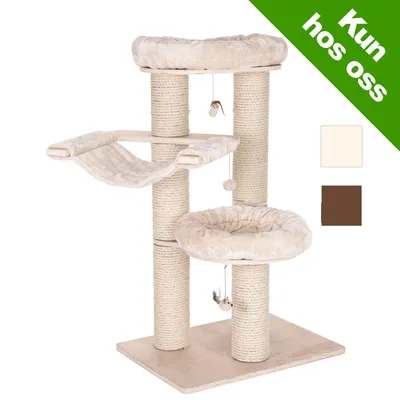 Natural Paradise Klorestativ Amaryllis L Natural Paradise Klorestativ Amaryllis L