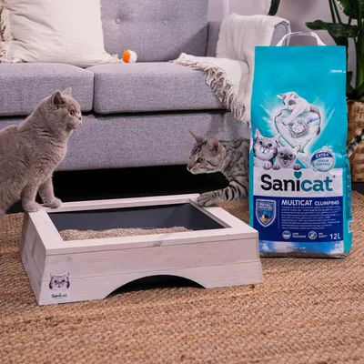 Sanicat Multicat zbrylający żwirek dla kotów, opakowanie 12 l z formułą pochłaniającą zapachy. Dwa koty obok drewnianej kuwety ze żwirkiem.