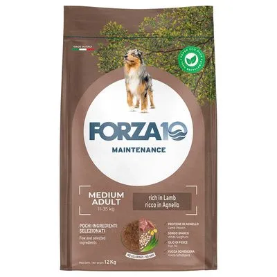 Forza10 Maintenance Medium Adult 11–35 kg, rijk aan lam, 12 kg. Pochi ingredienti selezionati, geen kleurstoffen, met visolie. Tekst in het Engels en Italiaans zichtbaar op verpakking. Forza10 Maintenance Medium Adult 11–35 kg, rijk aan lam, 12 kg. Pochi ingredienti selezionati, geen kleurstoffen, met visolie. Tekst in het Engels en Italiaans zichtbaar op verpakking.
