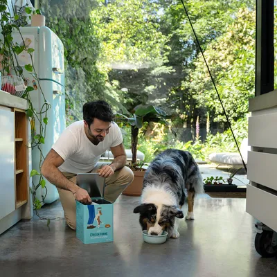 Un homme verse de la nourriture pour chien d'une boîte marquée 'Être en forme' dans une gamelle pendant qu'un chien mange.