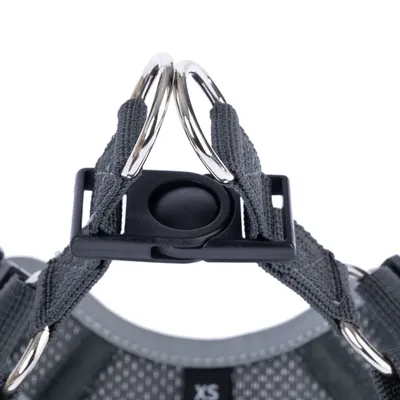 Vista dettagliata di una pettorina grigia con due anelli in metallo e una chiusura in plastica nera, taglia XS visibile.