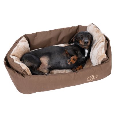 Cuccia marrone per cani con morbida imbottitura beige. Un cane dorme all'interno. Logo 'NT' visibile sulla parte anteriore del letto.