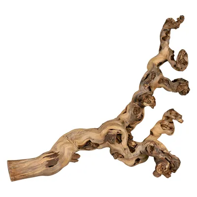 Trixie Sand-Blasted Branch - 40 - 60cm