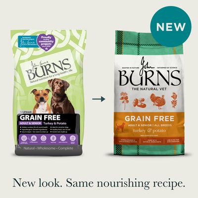 Burns Adult & Senior Sensitive Grain-Free - Turkey & Potato - 12kg