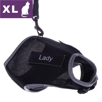 Sort katteharness i størrelse XL med teksten 'Lady' påsyet. Synlig kliklås og grå kantdetaljer. Materiale: netstof og plastikspænde.