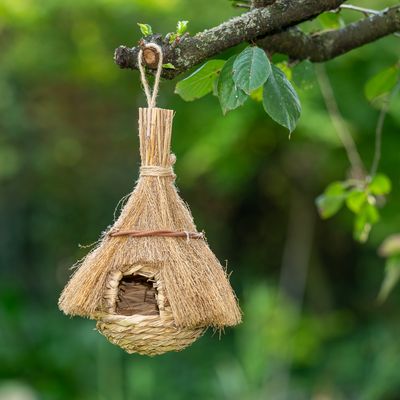 Wiszące gniazdo dla ptaków z materiałów naturalnych ze słomianym dachem i plecionym wejściem, przymocowane do gałęzi.