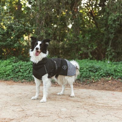 Hund bærer en sort og grå hundejakke med 'K9'-logo udendørs.