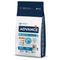 Lot Affinity Advance Maxi pour chien Maxi Adult (2 x 14 kg)