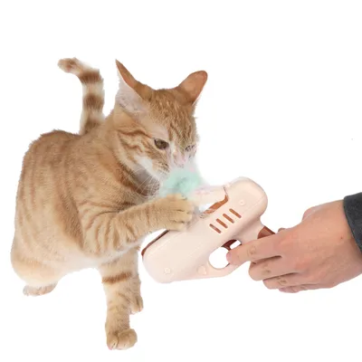 Gato rojo juega con una pistola de juguete rosa que lanza plumas de colores. Mano sostiene el juguete para juego interactivo.