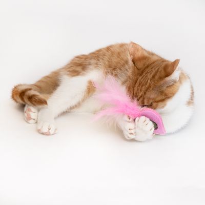 Рыжая и белая кошка играет с розовой игрушкой с розовыми перьями.