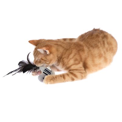 Röd katt leker med ett randigt tygleksak med en svart fjäder.