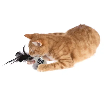 Röd katt leker med ett randigt tygleksak med en svart fjäder.