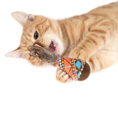 Chat roux tenant un jouet pour chat en tissu à motif coloré avec plumes visibles, fond blanc. Matériaux visibles : tissu, plumes.