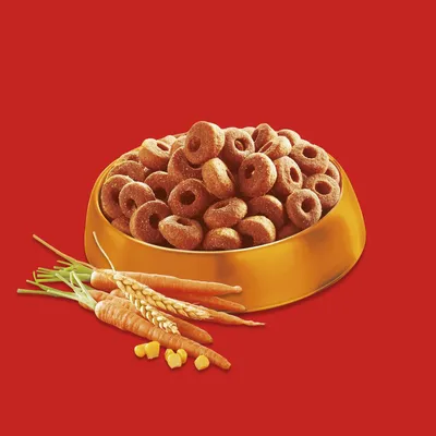 Červené suché krmivo v tvare donutu v zlatej miske, vedľa mrkva, pšenica a kukuričné zrná na červenom pozadí. Červené suché krmivo v tvare donutu v zlatej miske, vedľa mrkva, pšenica a kukuričné zrná na červenom pozadí.