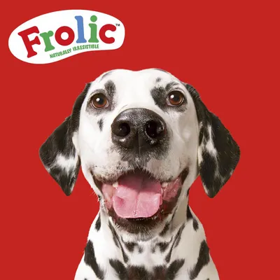 Frolic Naturally Irresistible, texte en anglais, avec un dalmatien sur fond rouge