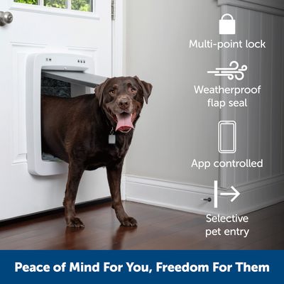 Dog using intelligent pet door with multi-point locking, weatherproof flap seal, app control and selective access. Text: Peace of Mind For You, Freedom For Them.