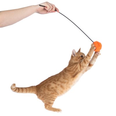 Wędka do zabawy z pomarańczową pluszową piłką, trzymana w ręce. Kot skacze i łapie piłkę.