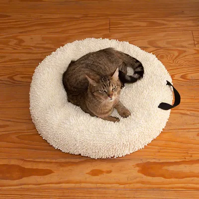 Kattepute Cream