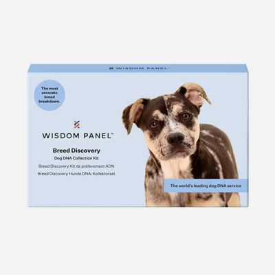 Wisdom Panel™ Rasse-bestimmender DNA-Test für Hunde 1 Stück