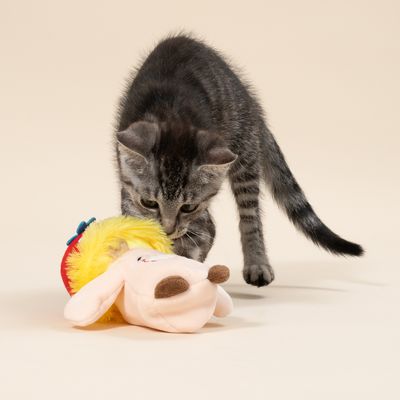 TIAKI Elektronisches Katzenspielzeug Pilzfreund