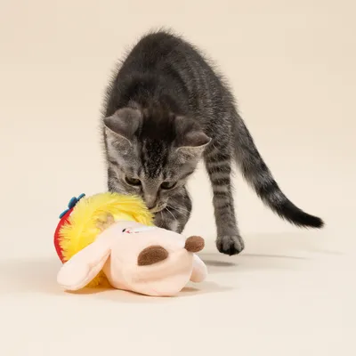 TIAKI Elektronisches Katzenspielzeug Pilzfreund
