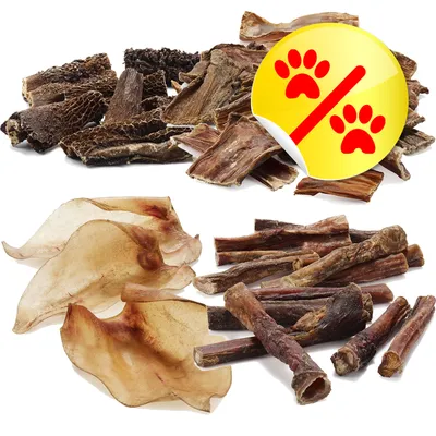 Blandade tuggprodukter för hund, inklusive bitar av vom, oxöron och tuggpinnar. Gul rabattmärkning med två röda tassavtryck synlig i övre högra hörnet. Blandade tuggprodukter för hund, inklusive bitar av vom, oxöron och tuggpinnar. Gul rabattmärkning med två röda tassavtryck synlig i övre högra hörnet.