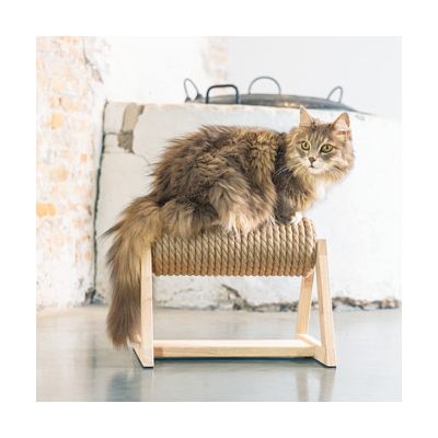 Kattenmeubel van hout met sisaltouw, geschikt als krab- of ligplek. Kat zit op het meubel.