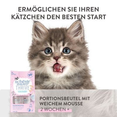 Schesir Baby Thrive Portionsbeutel mit weichem Mousse, geeignet für Kätzchen ab 2 Wochen. Ermöglichen Sie Ihren Kätzchen den besten Start.