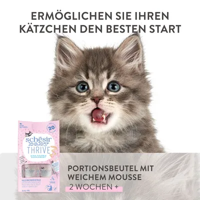 Schesir Baby Thrive Portionsbeutel mit weichem Mousse, geeignet für Kätzchen ab 2 Wochen. Ermöglichen Sie Ihren Kätzchen den besten Start.
