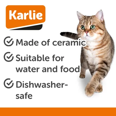 Karlie Ceramic Cat Bowl - Green - 200ml, 12cm (W)