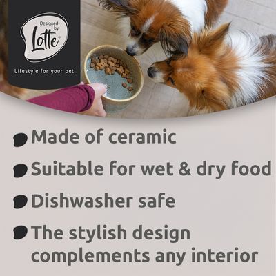 Ciotola rotonda per alimenti in ceramica di colore verdastro con superficie liscia, adatta per cibo o acqua.