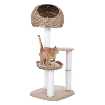 Arbre à chat avec trois plateformes, dont une niche en osier tressé et un panier, poteaux recouverts de corde blanche, chat roux debout sur la plateforme centrale.