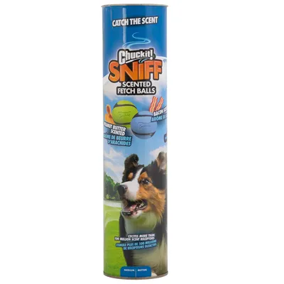 Chuckit! Palle gioco Sniff Fetch Balls in barattolo - 4 pz (Ø 6,5 cm)