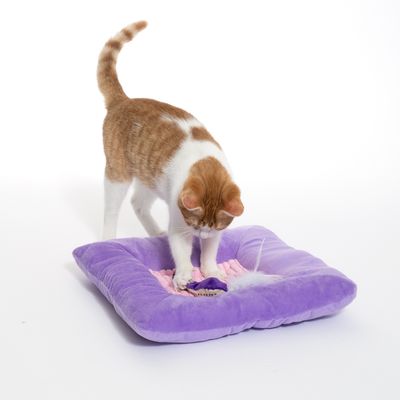 Kot bawi się na fioletowej poduszce z pluszu z wbudowaną zabawką i piórkiem. Produkt przedstawia użycie interaktywnej poduszki do zabawy dla kota.