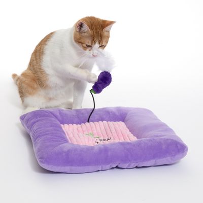 Katzenbett in Lila mit rosa Innenfläche, Katze spielt mit lila Spielzeug an einer Schnur. Produkt zeigt Nutzung des Betts und Spielzeugs.