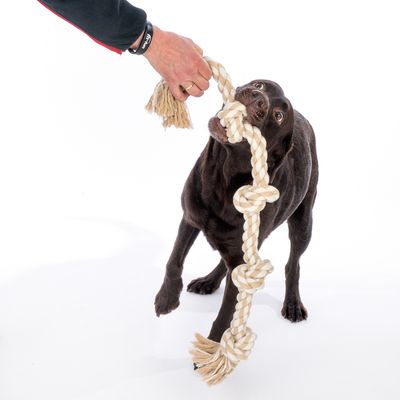 Cane che gioca con un gioco da masticare beige in corda, tenuto da una mano.