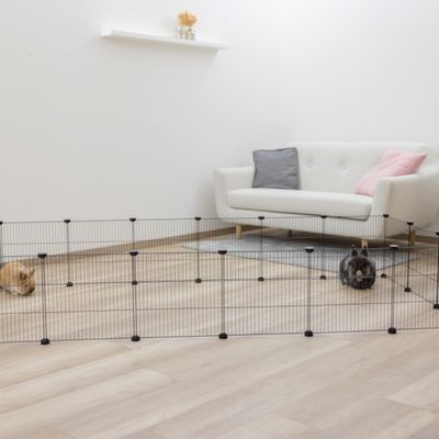 Vrij buitenverblijf van metalen tralies voor kleine dieren, opgezet in een woonkamer met bank en tapijt. Twee konijnen zichtbaar in het verblijf.